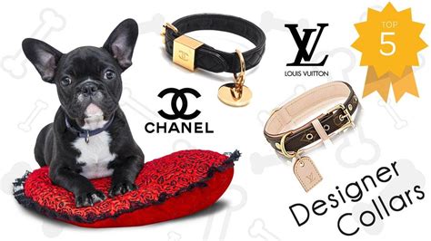 prada accessories for dogs|designer luxury dog accessories.